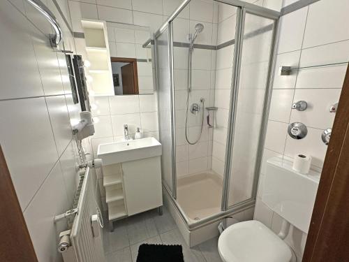 een badkamer met een douche, een toilet en een wastafel bij Gschwendtnerhof App14 Ludes-Ennen in Aschau im Chiemgau