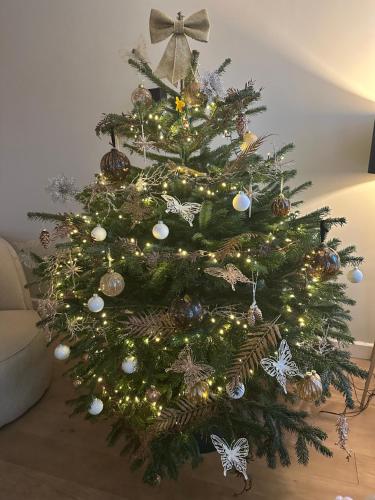 صورة لـ Beautiful entire house in the center في ميديمبليك