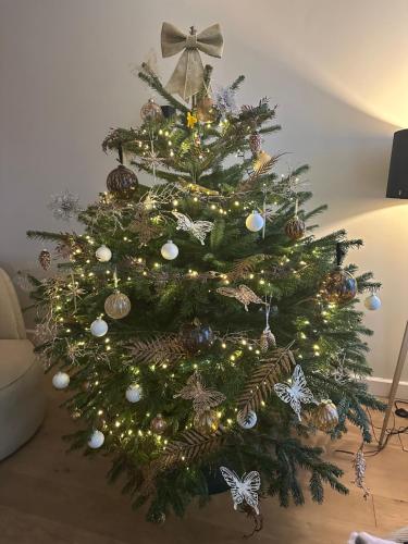 صورة لـ Beautiful entire house in the center في ميديمبليك