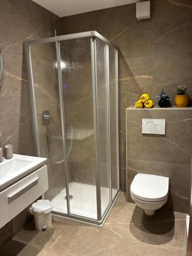 Un baño con ducha, inodoro y lavabo. en Landhaus Geisler, en Zell am Ziller