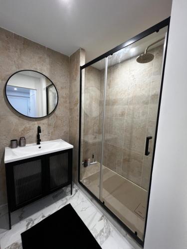 a bathroom with a shower and a sink and a mirror at Appartement spacieux centre Colmar in Colmar