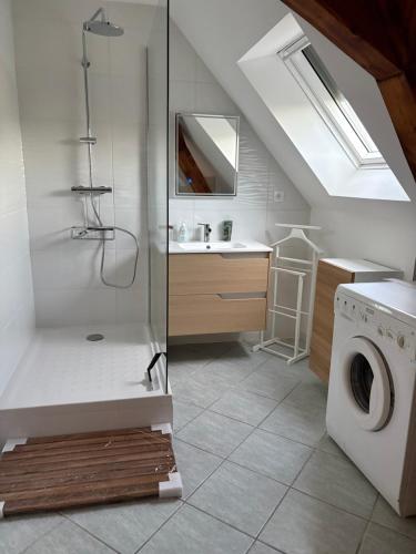 Gîte le Nid في Uffholtz: حمام مع دش ومغسلة وغسالة ملابس