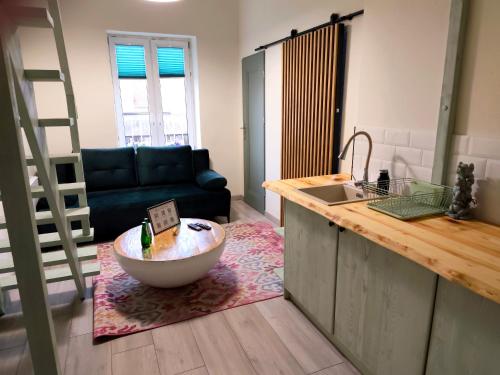 un soggiorno con una cucina con una ciotola su un tappeto di Apartament Oaza No 511 Green a Toruń