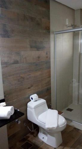 uma casa de banho com um WC e uma cabina de duche em vidro. em Hospedagem domiciliar Gramado em Gramado