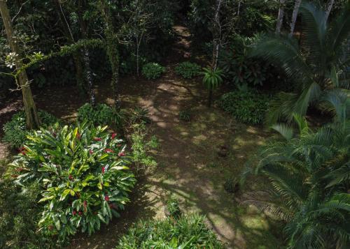 Κήπος έξω από το Cabin with private tropical forest