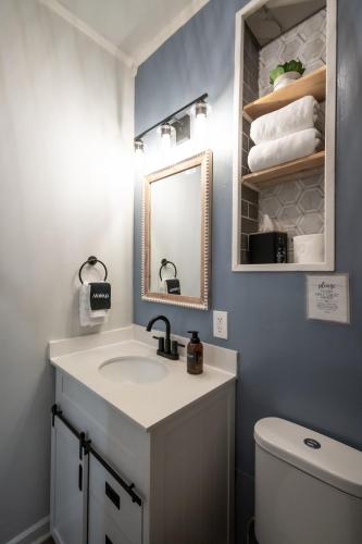 a bathroom with a sink and a mirror and a toilet at Charming Hideaway 1 BR APT 10 min to UGA in Athens