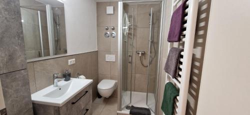 a bathroom with a sink and a toilet and a shower at Monteur- und Ferienwohnung Gästehaus Kinzigtal in Hasselroth