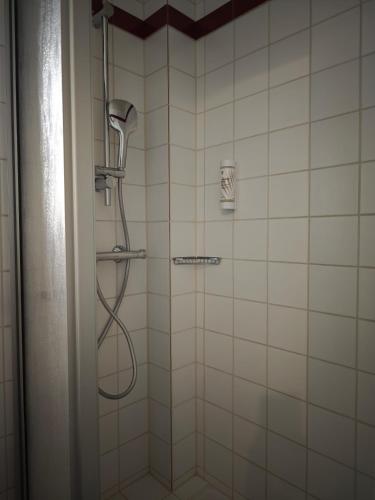 a shower with a shower head in a bathroom at Pension Villa Sarah in Bad Dürrheim