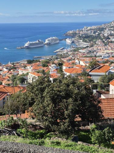 uitzicht op een stad met schepen in het water bij Latin House in Funchal