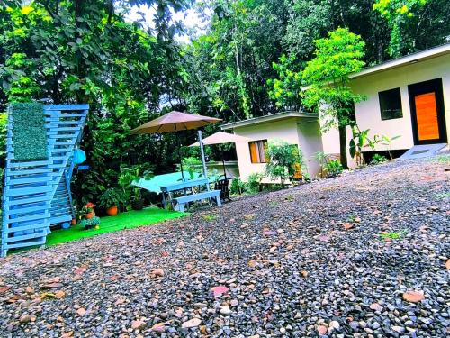 Jardín al aire libre en Monstera Forest Lodge