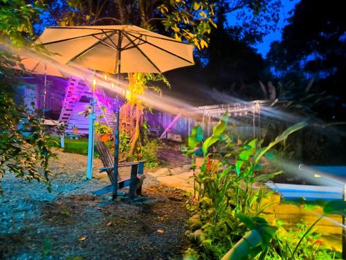 Κήπος έξω από το Monstera Forest Lodge