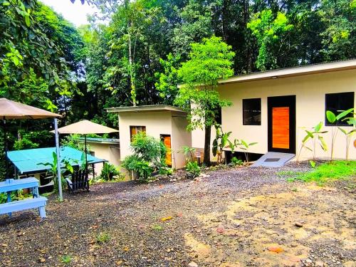 Κήπος έξω από το Monstera Forest Lodge