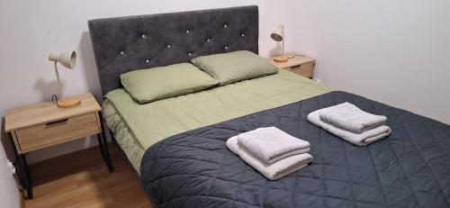 Ένα ή περισσότερα κρεβάτια σε δωμάτιο στο Apartament Sobieskiego nr 3