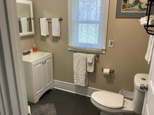 a bathroom with a toilet and a sink and a window at The Farmhouse at Wolfehaven in Asheville