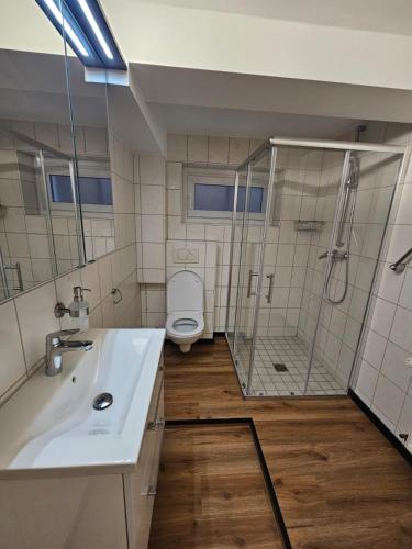 a bathroom with a sink and a shower and a toilet at harmonische 2-Zimmer Ferienwohnung in Nörten-Hardenberg