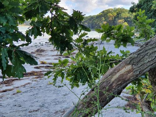 Příroda nedaleko prázdninového domu