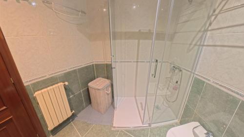 ein Badezimmer mit Dusche und Toilette in der Unterkunft Mirador Residencia in Ourense