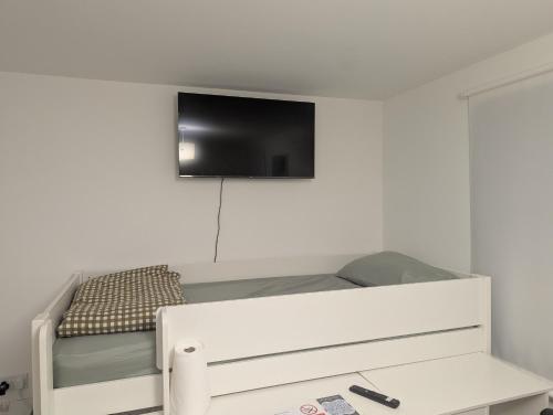 TV a/nebo společenská místnost v ubytování Double Room Roslin Near Edinurgh City