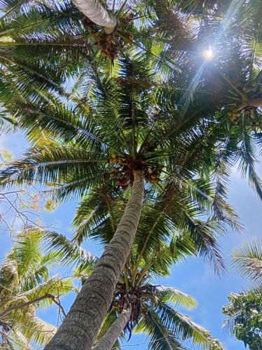 Fotografie z fotogalerie ubytování Loa House Homestay v destinaci Lautoka