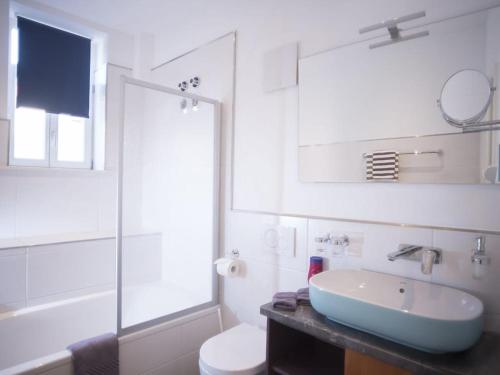 um banheiro com uma pia, um vaso sanitário e um espelho em Apartment DOVE CAGE AD1710 em Marktheidenfeld