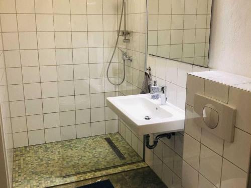 Gable house Ruppin Lake في Karwe: حمام مع حوض ودش