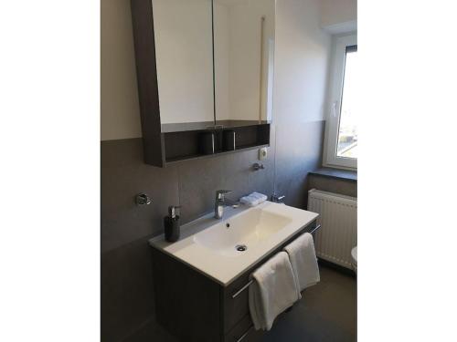 a bathroom with a sink and a mirror at Holiday apartment with 1 bedroom in Herbstein