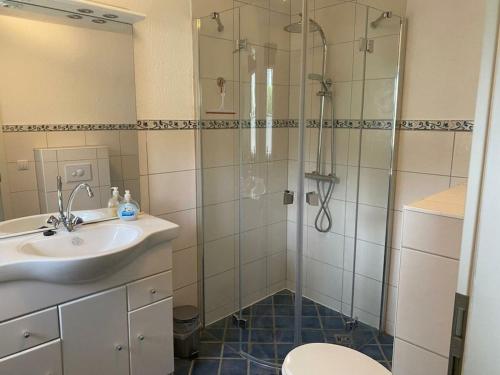 at the Gau family's home in Poggenhof في Charlottendorf: حمام مع دش ومغسلة ومرحاض