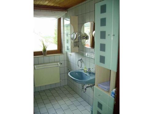 a bathroom with a blue sink and a window at Holiday apartment in Rhön with 1 bedroom in Ehrenberg