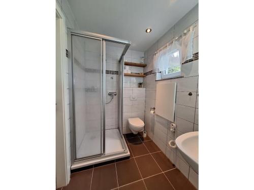 a bathroom with a shower and a toilet and a sink at Holiday home on Lake Kummerow in Salem