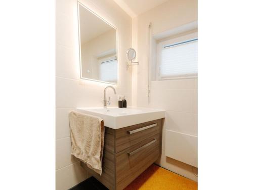 a bathroom with a sink and a mirror at Alb holiday home Zinnäcker in Trochtelfingen