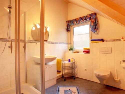 a bathroom with a shower and a sink and a toilet at Close-up view inside the Vorbek house in Bärenbach