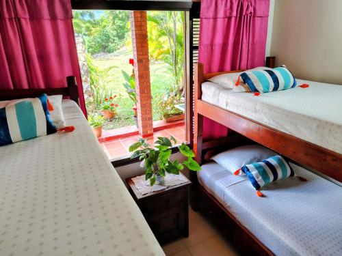 two bunk beds in a room with a window at Finca El Paraíso in La Mesa