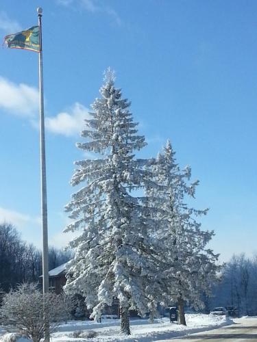 Chalet renovated Near Casino, Camelback , Kalahari 4bdrms firepit hot tub game room v zimě