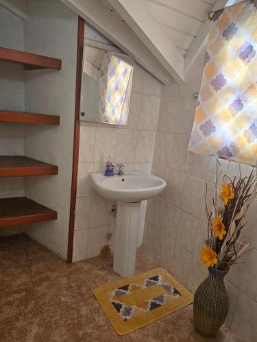 a bathroom with a sink and a mirror at Beach Front Apartment & Car Rental in Baie Nettle