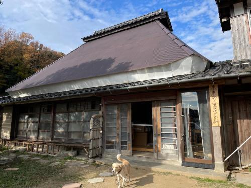 a dog standing in front of a building at 未来のふるさと村 in Yamaguchi