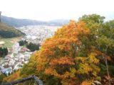 ゲストハウスの近くで見られる自然の景観