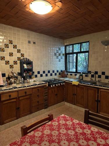 a large kitchen with wooden cabinets and a red rug at Casa Rústica del pedregal in Mexico City