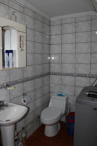 Koupelna v ubytování Cabaña y Hostal Dr Steffens