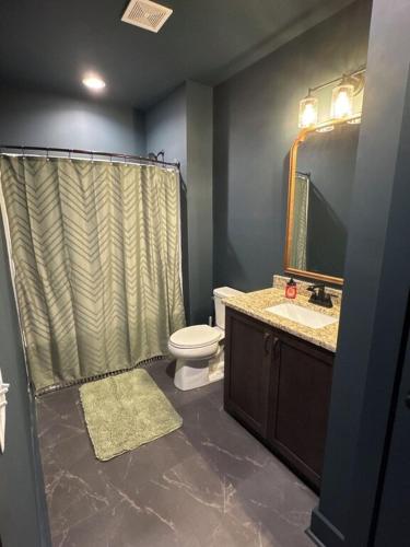 a bathroom with a toilet and a sink and a mirror at North Ga Hideaway in Ranger