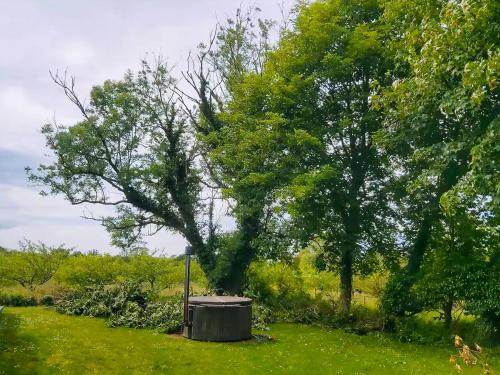 Zahrada ubytování Holiday Home By Apple Orchard On Jungshoved