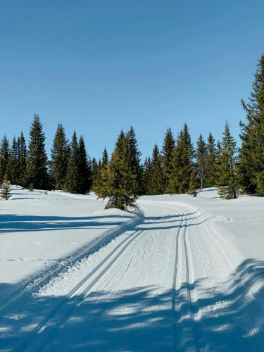 Cabin With Ski Inout Near Gribbe, Valdres v zimě