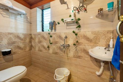 a bathroom with a toilet and a sink at Nysa Villa & Homestays in Igatpuri