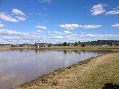a large body of water in a field at Lochinvar House in Lochinvar