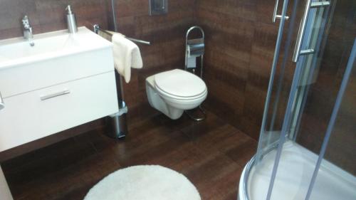 a bathroom with a toilet and a sink and a shower at Vila Ema Apartments and Rooms in Ljubljana