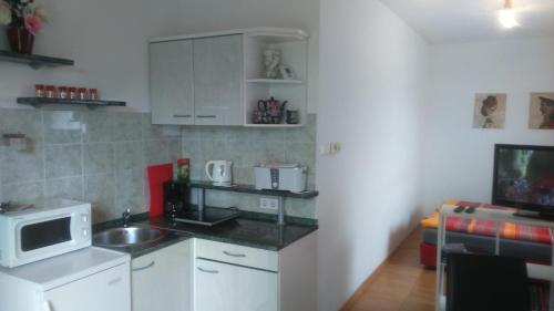 a small kitchen with a sink and a microwave at Vila Ema Apartments and Rooms in Ljubljana