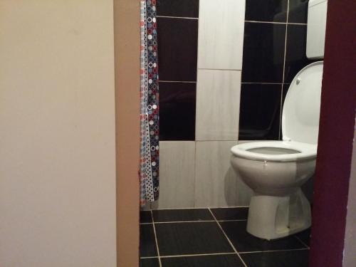 a bathroom with a toilet and a shower curtain at Staparski Sorrento in Užice