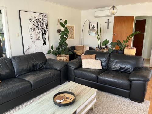 a living room with a black leather couch and a table at Stay on Stafford in Nelson