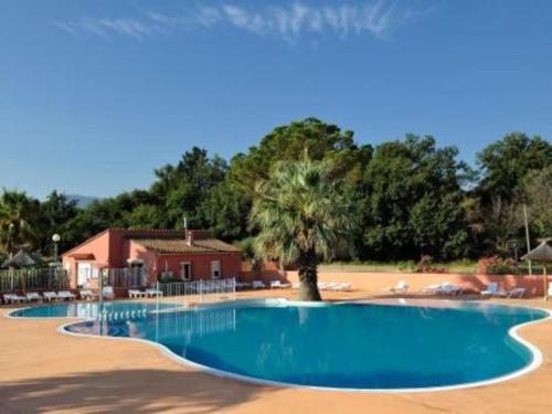 a large swimming pool with a palm tree in the middle at CAMPING LE CLOS DU THYM in Argelès-sur-Mer