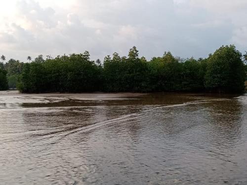 Φωτογραφία από το άλμπουμ του White place σε Ahangama