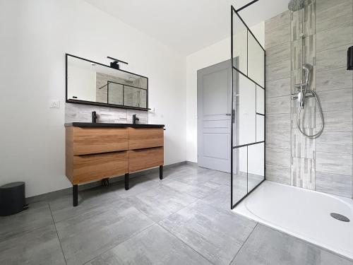 een badkamer met een wastafel en een spiegel en een douche bij Maison Lahourcade in Lahourcade